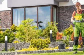 A Step-by-Step Guide to Fertilizing Your Lawn